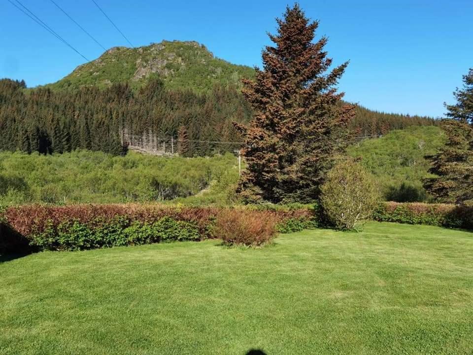 Banpim Hillside Lofoten With Jacusszi Gravdal  Exterior foto